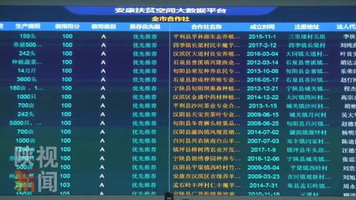 安康運用大數(shù)據(jù)互聯(lián)網(wǎng)為貧困戶脫貧提供精準服務(wù)