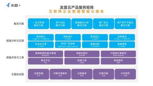 數(shù)據(jù)服務(wù)邁入云智能時(shí)代 友盟云為互聯(lián)網(wǎng)企業(yè)提供持續(xù)增長(zhǎng)新動(dòng)力
